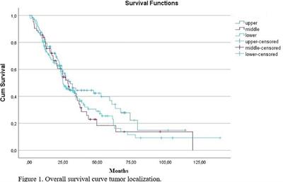 Survival outcomes according to the tumor location and prognostic factor in metastatic rectal cancer: a multicenter retrospective cohort study